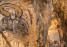A detail of the Cripta del Peccato Originale (Crypt of the Original Sin)