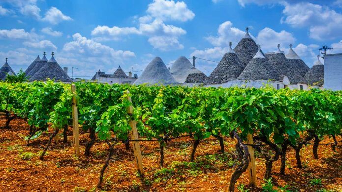 Vineyards amidst trulli in Apulia (c) trabantos/Shutterstock.com