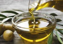 Garda Lake olive oil
